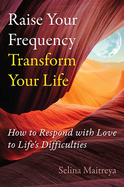 raise your frequency transform your life book cover